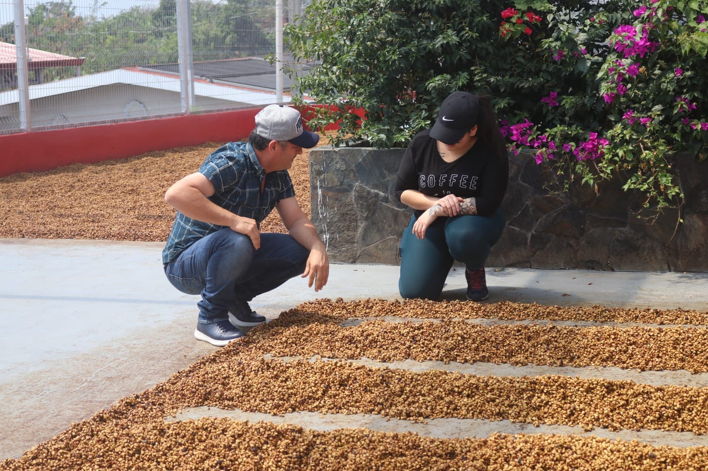 Alma Negra- Las Lajas Micromill |Light- Medium Roast