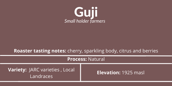 guji coffee coffee from guji
