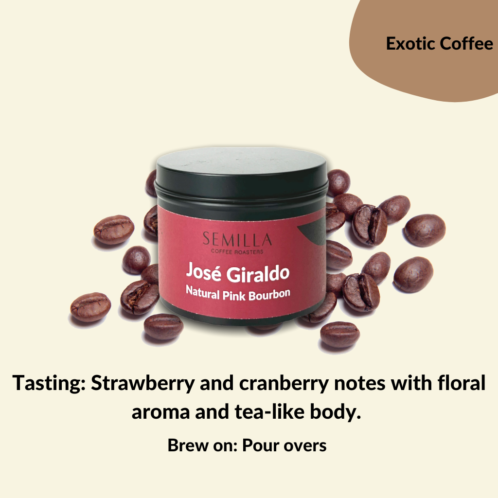 Colombia Micro Lot Jose Giraldo Pink Bourbon | Light Roast