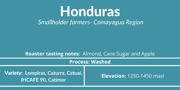 Honduras Reserva | Medium Roast